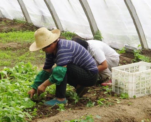 La media de trabajadores extranjeros afiliados a la Seguridad Social asciende a 2.123.454 en noviembre