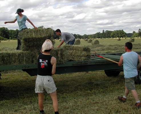 El Ministerio de Trabajo distribuye 236 M para la contratación de trabajadores del campo en los ayuntamientos