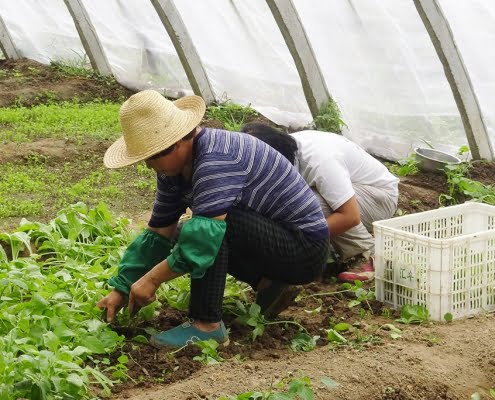 La Seguridad Social registra 18.396.362 afiliados en el último día de abril
