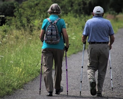 La nómina de pensiones contributivas de julio se sitúa en 9.882,66 millones de euros