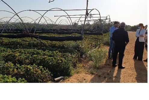 La Secretaría de Estado de Migraciones acompaña al primer contingente de mujeres temporeras que regresan a Marruecos